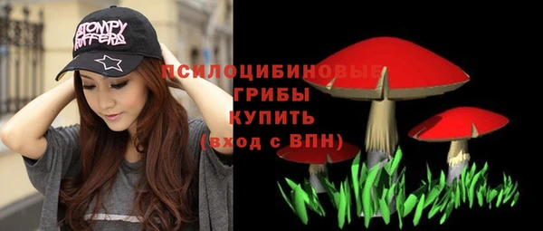 ПСИЛОЦИБИНОВЫЕ ГРИБЫ Кинешма