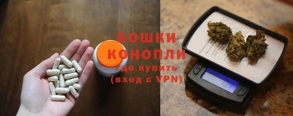 мдпв Киреевск