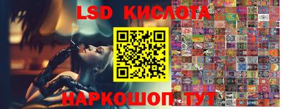 стаф Заволжье
