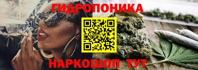 стаф Заволжье