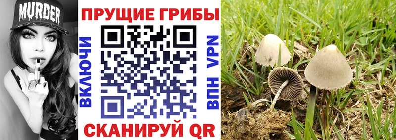 Псилоцибиновые грибы MAGIC MUSHROOMS  Нерюнгри 