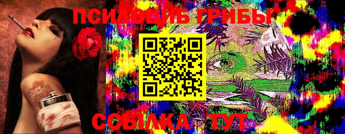 Нерюнгри  Галлюциногенные грибы Magic Shrooms  Вход с VPN 