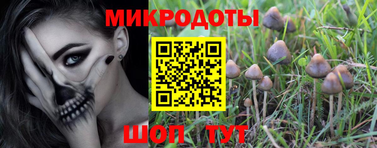Галлюциногенные грибы MAGIC MUSHROOMS Нерюнгри